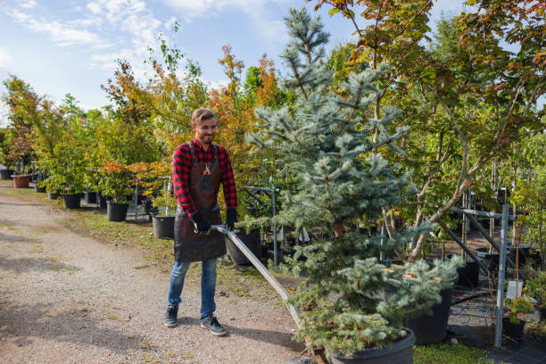 Best Tree and Shrub Care  in Fairport, NY